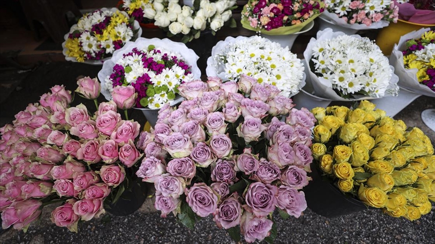 Viranşehir Çiçekci